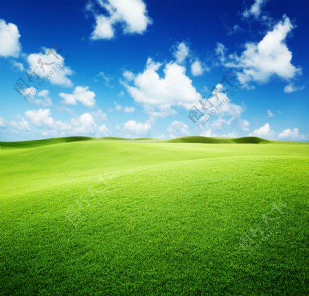 草地风景与蓝天白云图片