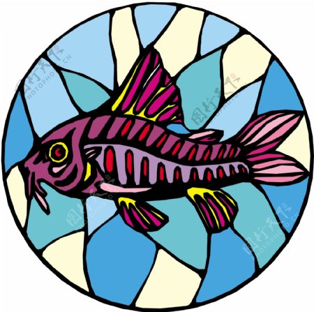 五彩小鱼水生动物矢量素材EPS格式0738