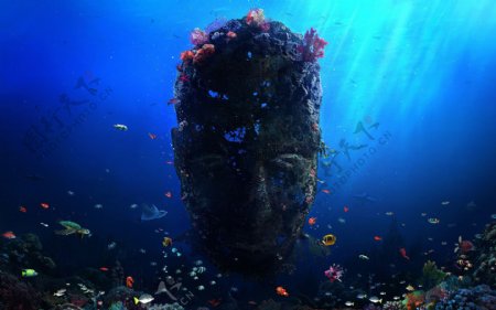海中长满珊瑚的人脸石雕图片