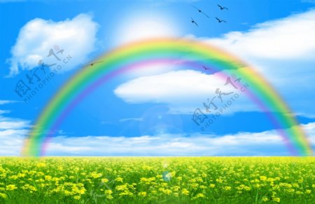 田园上的彩虹图片