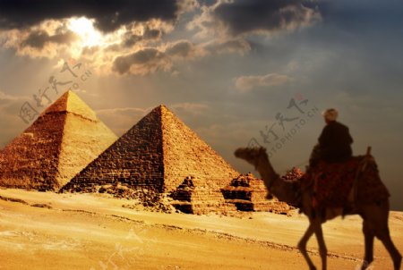 骑骆驼的人物与金字塔图片