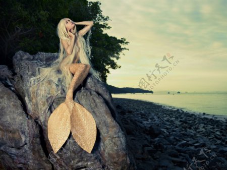 坐在石头上的美人鱼美女图片