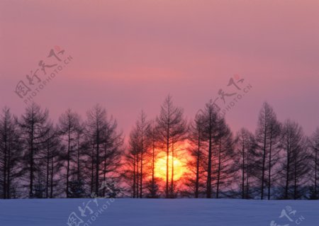 冬天日落风景图片