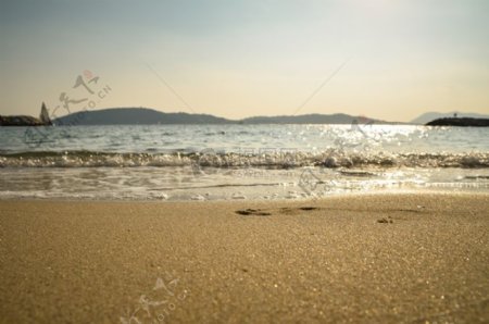 海滩景观在白天