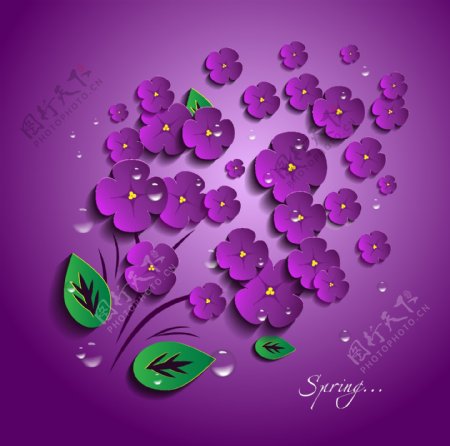 剪纸紫色立体花朵