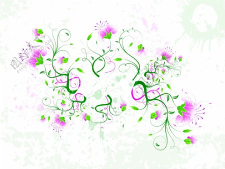 花卉花纹素材图案
