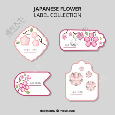 日本花卉标签素材
