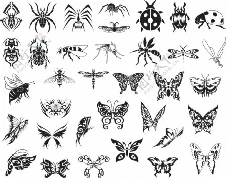 蝴蝶和昆虫剪影
