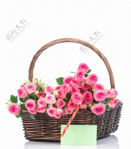 粉色玫瑰花篮图片