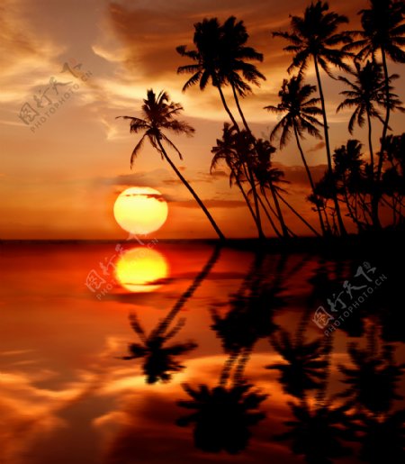 美丽的海边夕阳风景图片