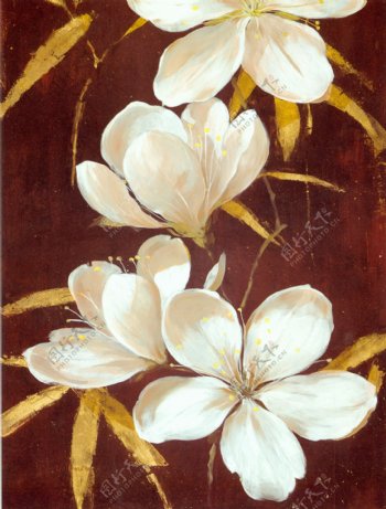 白色的茉莉花油画图片