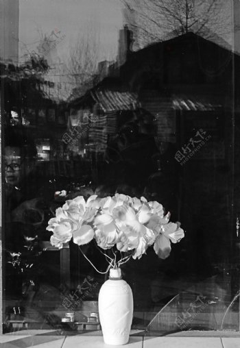 黑白花摄影图片