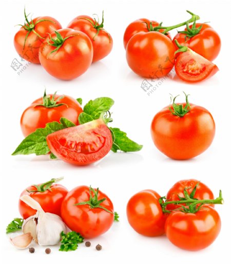 新鲜蕃茄图片