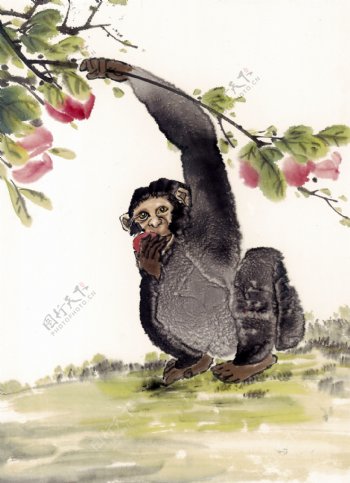 猴写意动物画国画0042