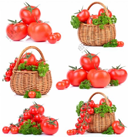 绿色食物西红柿图片
