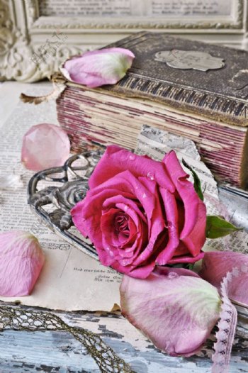 复古书籍与玫瑰花图片
