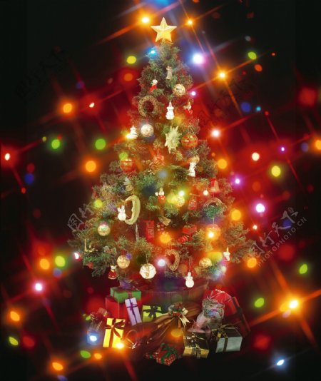 圣诞树背景模板图片