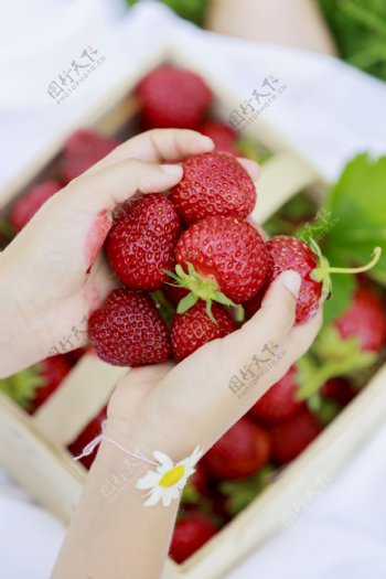 手中的草莓图片