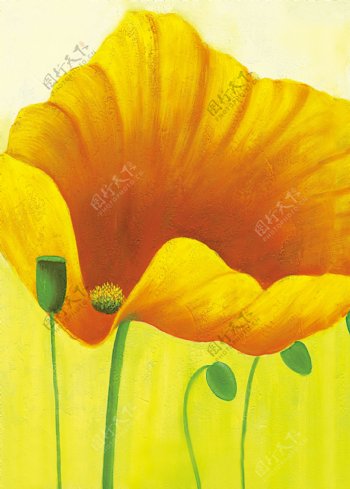 黄色花朵油画图片