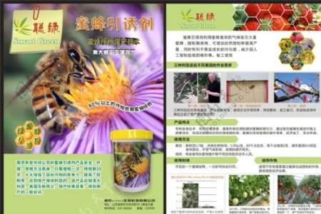 蜜蜂引诱剂单页图片
