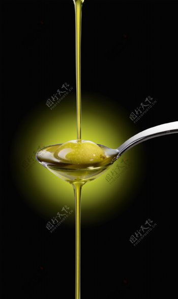 香浓橄榄油图片