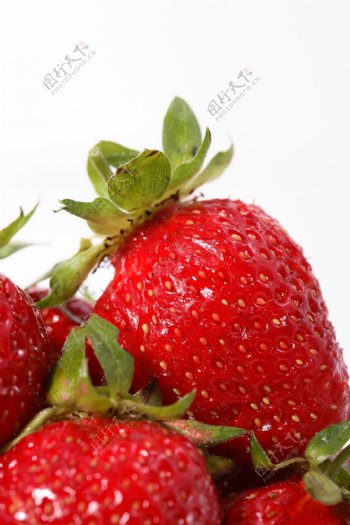 漂亮的草莓图片