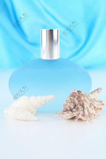 海螺与香水图片
