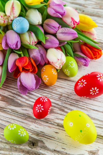 郁金香与复活节彩蛋图片