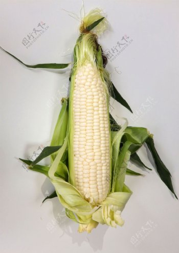 白色粘玉米图片
