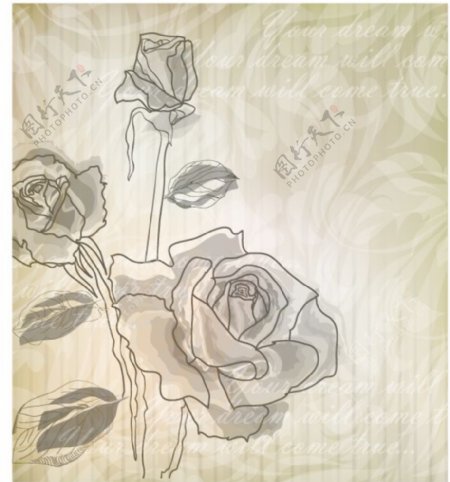 简约手绘玫瑰花图片