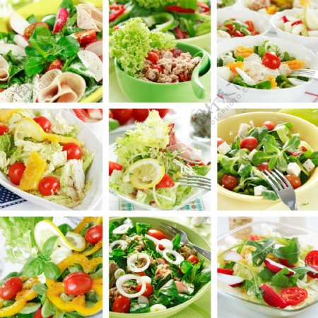9款美味蔬菜沙拉高清图片