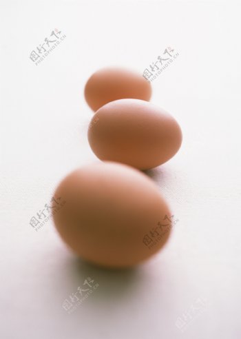 鸡蛋摄影