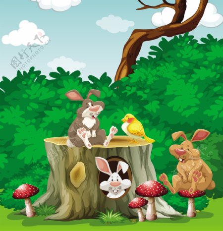 花园插图中的兔子和鸟