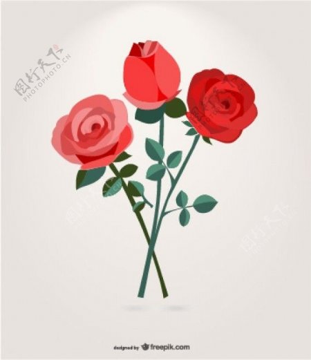 玫瑰花束图形