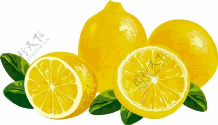 矢量柠檬元素