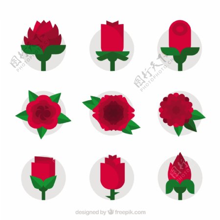 九个扁平风格红玫瑰图标