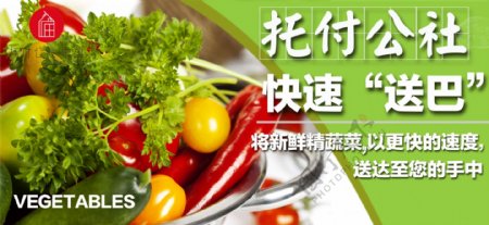 蔬菜海报蔬菜海报