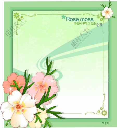 绿色边框和玫瑰苔插画图片