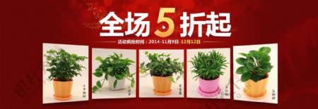 植物花卉新店开业喜庆海报