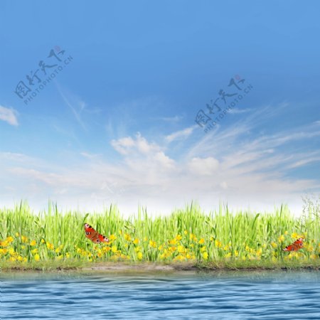 草地水面美景图片