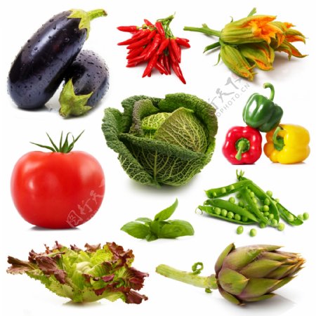 新鲜蔬菜集合摄影图片
