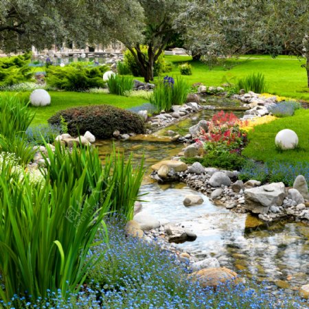 美丽小溪草坪风景