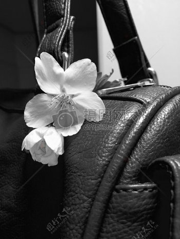 背包上的花卉