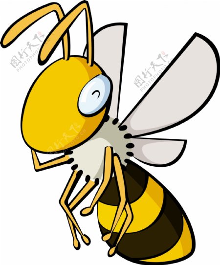 蜜蜂25