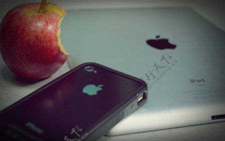 苹果系列手机