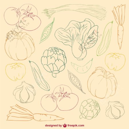 蔬菜的颜色涂鸦