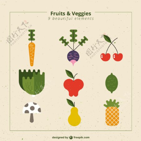 水果和蔬菜的收集