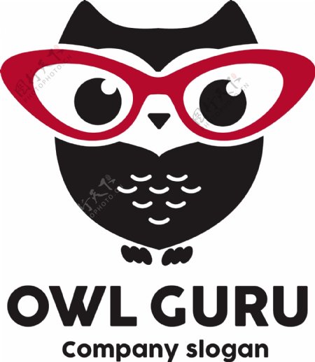 猫头鹰logo模板