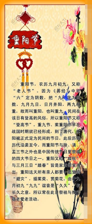 中国节日文化重阳节图片