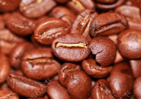 咖啡豆细节纹理图